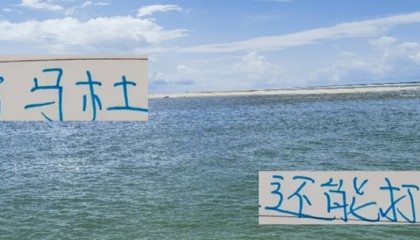 申花这么贵的医疗团队 没想到是中超前4伤病最重 阿马杜还能打吗