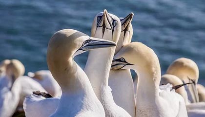 开云体育官网-半岛体育APP：让热爱变得触手可及