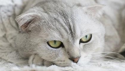 XingKong星空：用星光点亮生活的方式